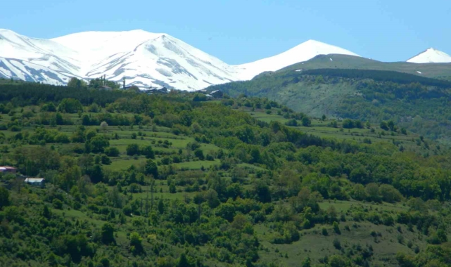 Posof'ta bahar görsel şölene dönüştü
