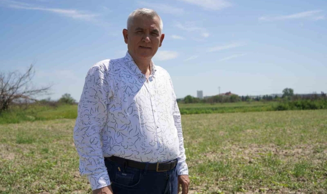 Prof. Dr. Kaya'dan yabancı otla mücadele ve ilaçlama uyarısı
