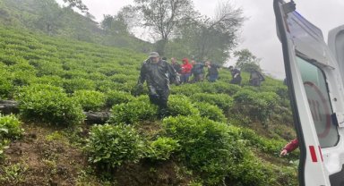 Rize'de yaş çay bahçesinde yamaçtan düşen kişi yaralandı