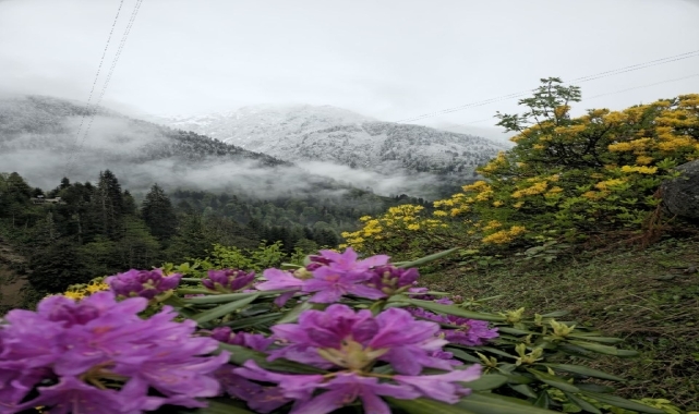 Rize'nin yüksek kesimleri karla kaplandı