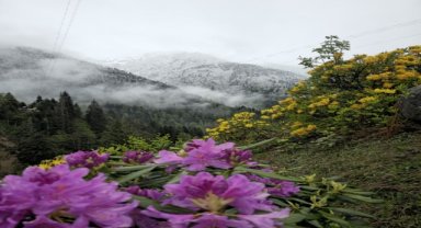 Rize'nin yüksek kesimleri karla kaplandı