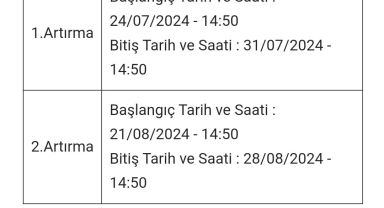 Sabancı Müzesi'ndeki 97 yıllık Atlı Köşk icradan satışa çıkarıldı
