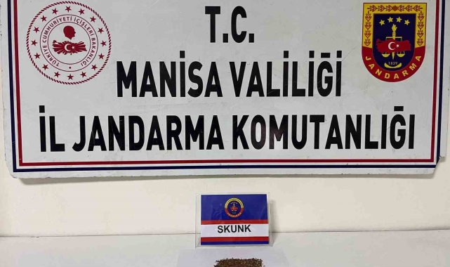 Salihli'de şüpheliden Skunk ele geçirildi