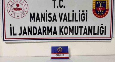 Salihli'de şüpheliden Skunk ele geçirildi