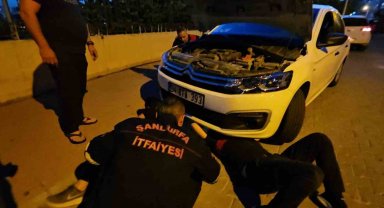 Şanlıurfa'da otomobilin motor kısmına sıkışan kedi operasyonla kurtarıldı
