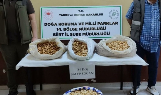 Siirt'te salep soğanı toplayan şahıslara 387 bin 141 lira ceza kesildi