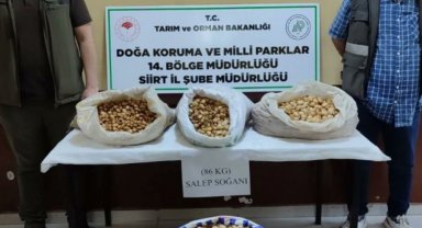 Siirt'te salep soğanı toplayan şahıslara 387 bin 141 lira ceza kesildi