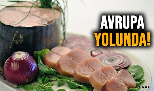 SİNOP LAKERDASI AVRUPA YOLUNDA!