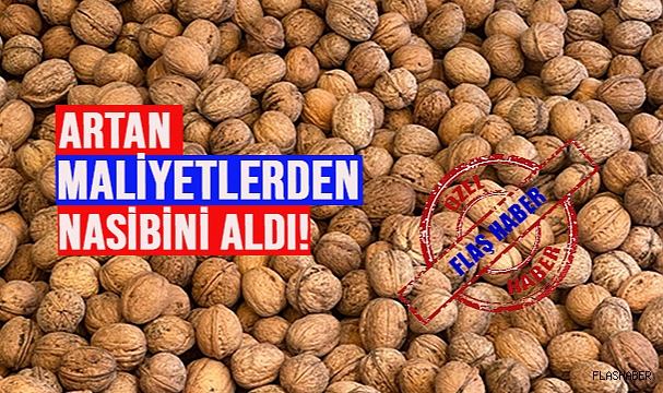 SİNOP’TA CEVİZ SATIŞLARI AZALDI!