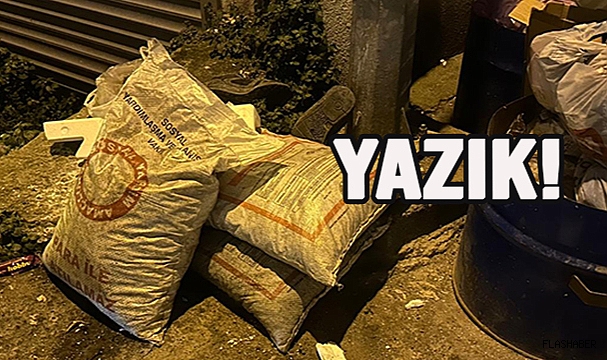 SİNOP'TA DEVLETİN ÜCRETSİZ DAĞITTIĞI KÖMÜRLER ÇÖPE ATILDI!