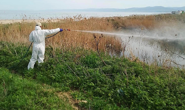 SİNOP’TA İLAÇLAMA ÇALIŞMALARINA HIZ VERİLDİ!
