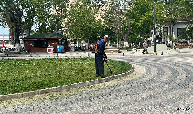 SİNOP'TA YABANİ OTLAR BİÇİLİYOR!