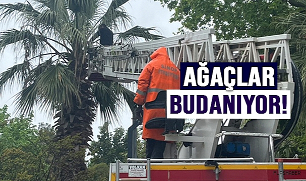 SİNOP’TA YAZ HAZIRLIĞI!
