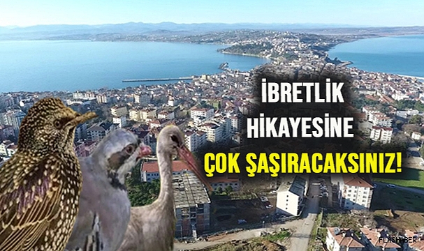 SİNOP’UN EN İLGİNÇ MAHALLESİ!