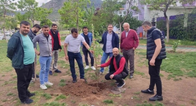 Soma'da yaşayan Ordulular hayatını kaybeden madenciler anısına fidan dikti