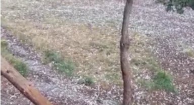 Tavşanlı'da ceviz büyüklüğünde dolu yağdı