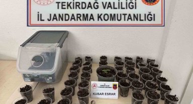 Tekirdağ'da uyuşturucu, silah ve tütün operasyonu