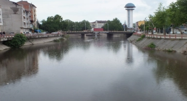 Tokat'ta Yeşilırmak Nehri'ndeki balık ölümüyle ilgili inceleme başlatıldı