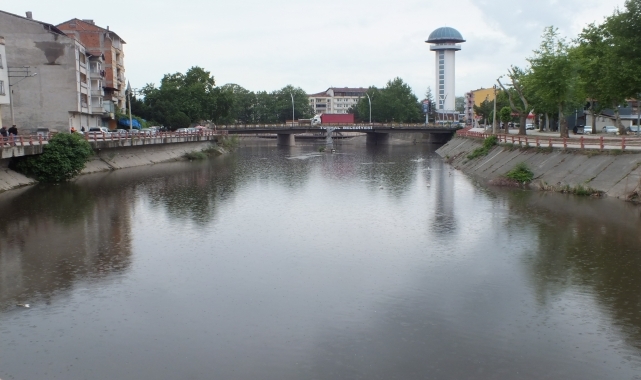 Tokat'ta Yeşilırmak Nehri'ndeki balık ölümüyle ilgili inceleme başlatıldı