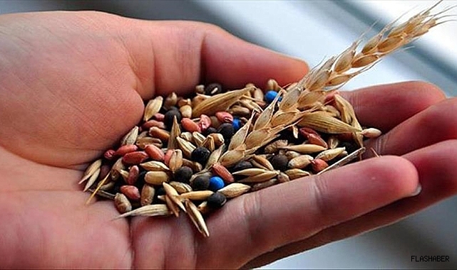 TÜRKİYE TOHUMDA İHRACATÇI POZİSYONUNU SÜRDÜRÜYOR!