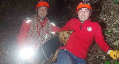 Uludağ'da kayanın üzerinde mahsur kalan köpeğe kurtarma operasyonu