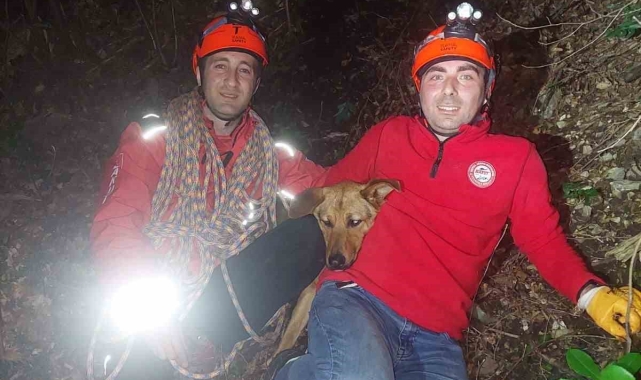Uludağ'da kayanın üzerinde mahsur kalan köpeğe kurtarma operasyonu
