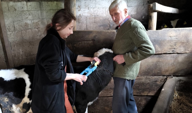 Vize'de küpeleme ve kayıt altına alma çalışması
