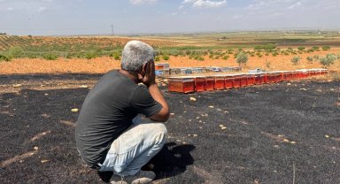 Yangında arıları telef olan arıcı çaresizce yanan kovanlarını izledi