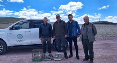 Yasa dışı olarak saka kuşu bulunduranlar yakalandı