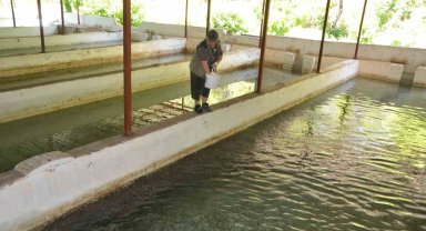 Yavru alabalık yetiştirip öğrencilere burs veriyor