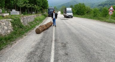 Yığılca'da araçtan yola düşen tomruk kaldırıldı