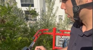 Yuvasından düşen karga yavrusu yuvasına bırakıldı