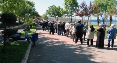 Zonguldak'ta ata tohumlarıyla yetiştirilen 350 bin sebze fidesi dağıtıldı