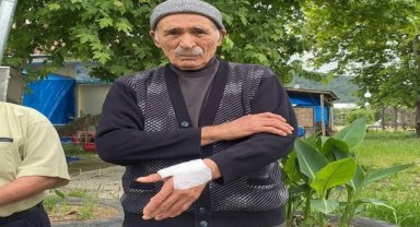 Zonguldak'ta köpek saldırısına uğrayan yaşlı adam şikayetçi oldu