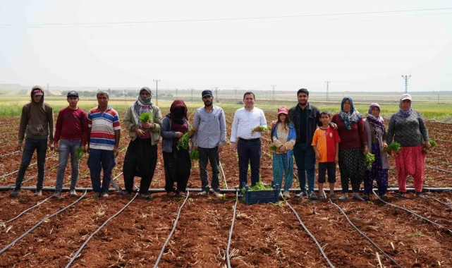 Zor şartlarda çalışan çiftçiler, 1 Mayıs'ta tarlalarını boş bırakmadı