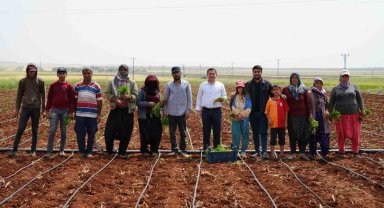 Zor şartlarda çalışan çiftçiler, 1 Mayıs'ta tarlalarını boş bırakmadı