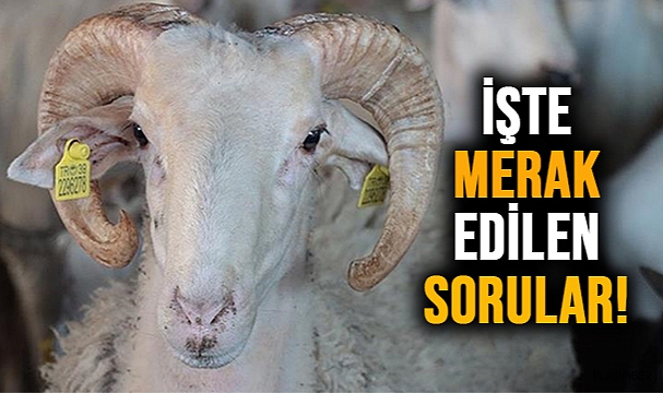 10 SORUDA KURBANLA İLGİLİ MERAK EDİLENLER!