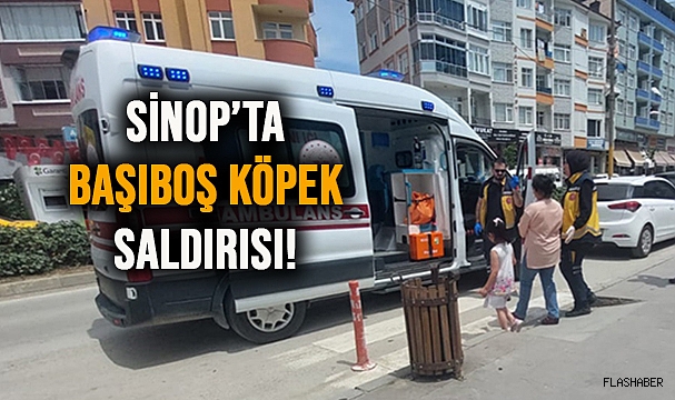 3 YAŞINDAKİ ÇOCUK KABUSU YAŞADI!