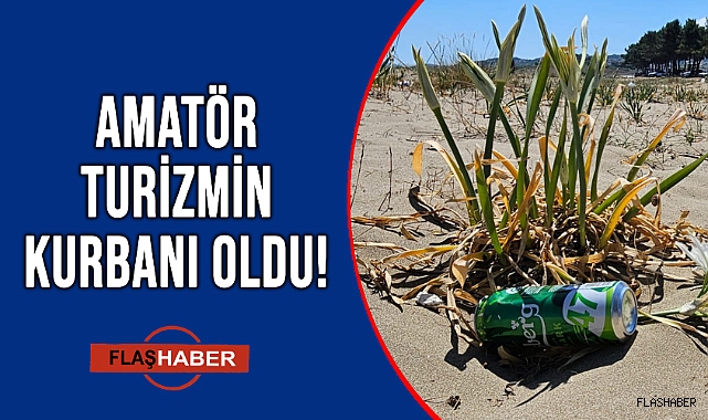387 BİN 141 TL CEZASI VAR!