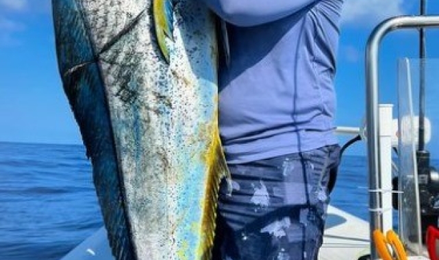 Adana'da balıkçılar 26 kiloluk lambuka yakaladı