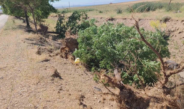 Adilcevaz'da toz fırtınası hayatı felç etti