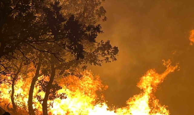 Adıyaman'daki orman yangını devam ediyor