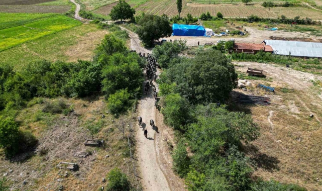 Afrika değil Tokat: Tokat'ta Afrika belgesellerini andıran görüntüler