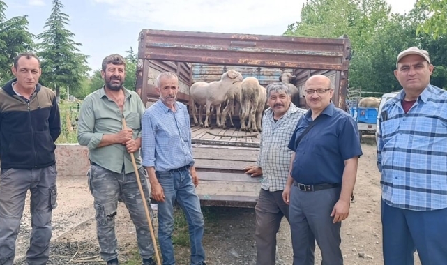 Afyonkarahisar'da canlı hayvan taşımacılığına yönelik denetim