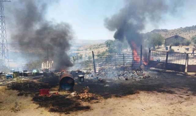Afyonkarahisar'da ormanlık alanda çıkan yangın söndürüldü