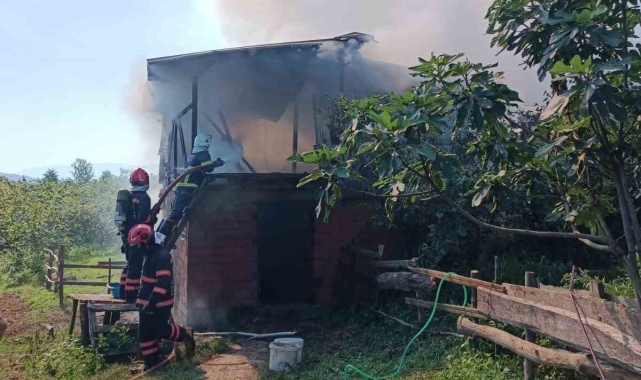 Ahır ve samanlık alevlere teslim oldu, hayvanlar son anda kurtarıldı