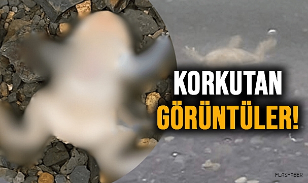 AKGÖL'DE NELER OLUYOR?