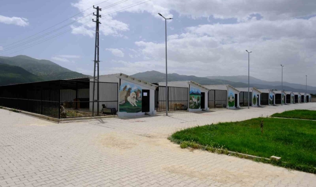 Akşehir Belediyesi'nden Bir Can Bir Yuva projesi