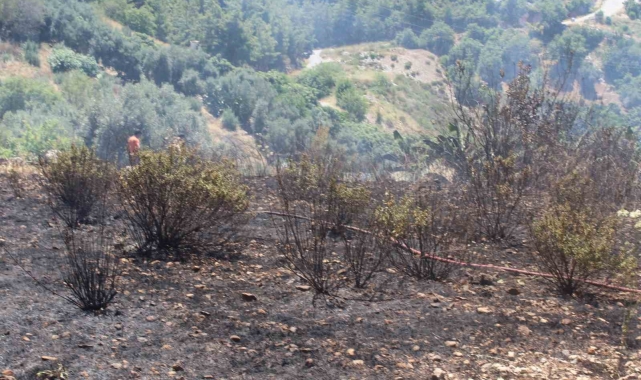 Alanya'da otluk olan yangını itfaiye ekiplerince söndürüldü