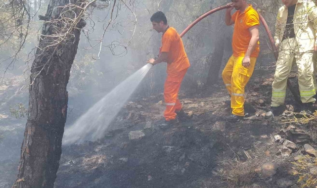 Alanya'daki orman yangını büyümeden kontrol altına alındı